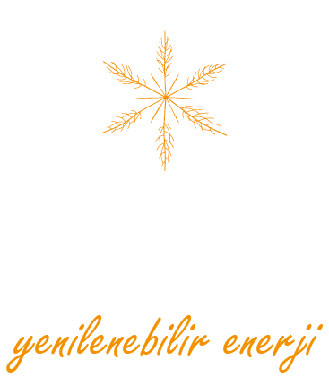 Asset 3s siz